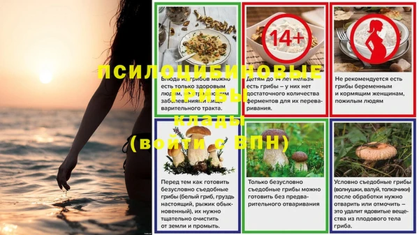 дурь Аркадак