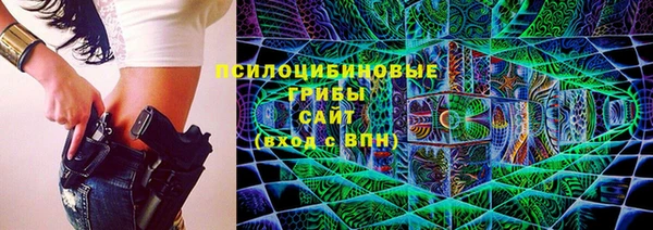 молекула духа Арсеньев