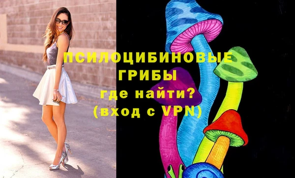 молекула духа Арсеньев