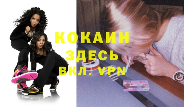 молекула духа Арсеньев