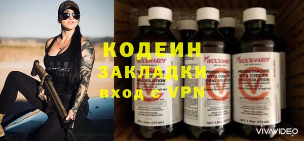 молекула духа Арсеньев