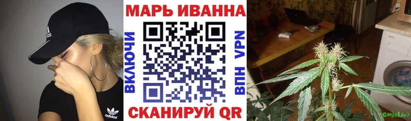 Купить где  Карачев  Шишки марихуана сатива 